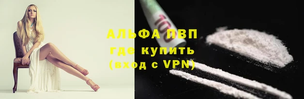 spice Касимов