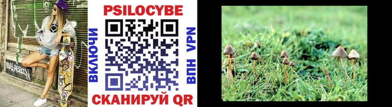 Галлюциногенные грибы Psilocybine cubensis  кракен вход  Ачинск 